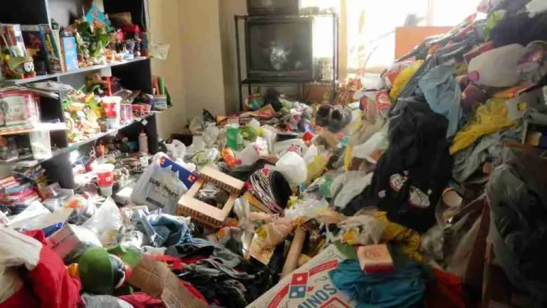 Featured image for A Complete Guide To Hoarding Clean Up For Healthier Living
